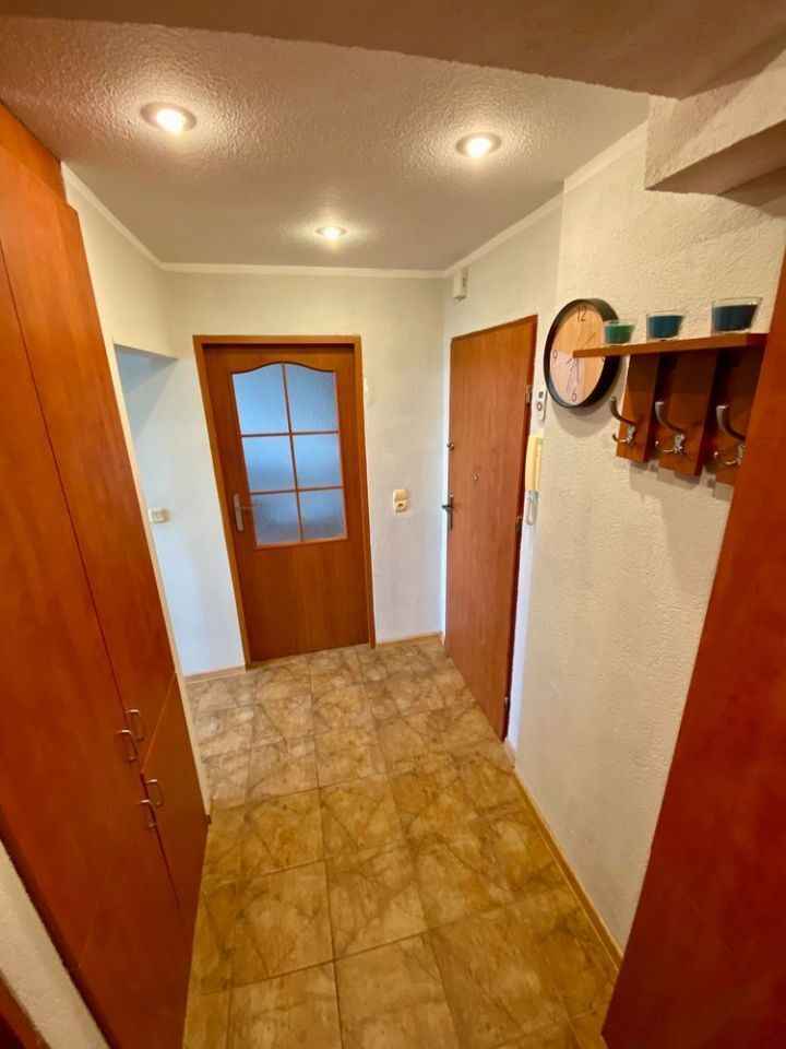 2pok, 39met, Okolice Zachodniej PIWNICA/2 WINDY (Wrocław) Stare Miasto - zdjęcie 7