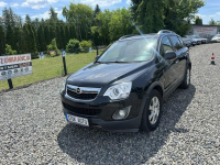 Opel Antara 4x4 diesel Automat Hak brązowe skóry Bixenon navigacja Stok Lacki - zdjęcie 2