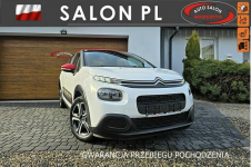 Citroen C3 serwis ASO