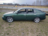 Nissan Primera P11 Kielce - zdjęcie 6