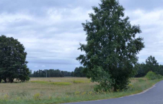 Działki rolno-budowlane razem 8,85ha Małomin - zdjęcie 2