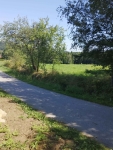 Sprzedam Olszowa - zdjęcie 2