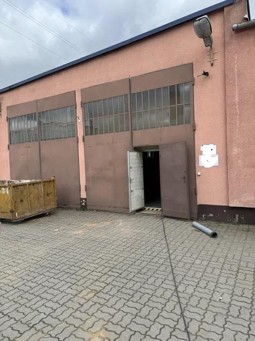 Lokal na wynajem Nowe Lipiny Nowe Lipiny - zdjęcie 8