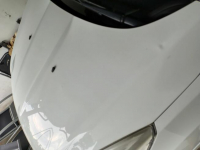 Ford Kuga MK2 diesel 2.0 TDCi Zamienię Na Vito lub Viano Leszkowice - zdjęcie 12