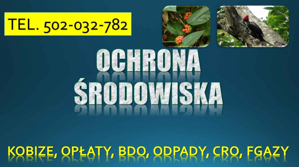 Szkolenie indywidualne z ochrony środowiska, t. 504-746-203, Wrocław. Psie Pole - zdjęcie 1