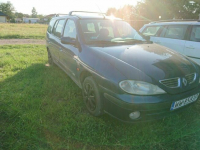 Megane Łubno - zdjęcie 4