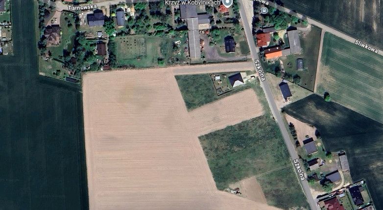 Duża działka z WZ | szybki dojazd do Poznania Kobylniki - zdjęcie 1