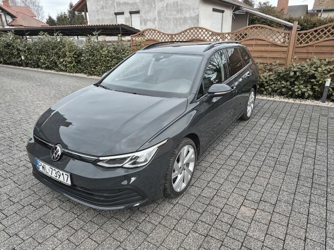 Volkswagen Golf VIII 2.0 Orginalny Niski przebieg - Radary Wolsztyn - zdjęcie 11