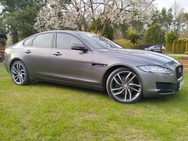 Jaguar Xf 2.D 2016r Radom - zdjęcie 6