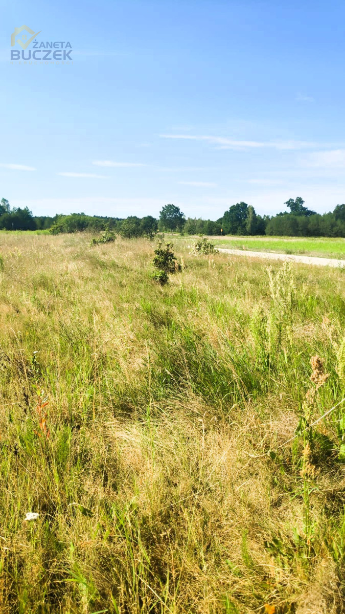 Sprzedam działki budowlane w Śladowie Śladów - zdjęcie 4