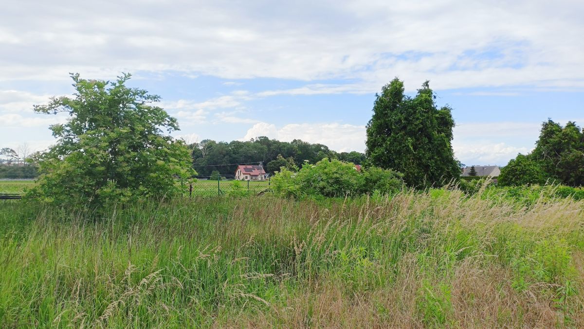 Działka z MPZP, możliwość dalszego podziału. Komorniki - zdjęcie 6