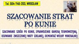 Szacowanie szkód po kunie, tel. 504-746-203, Wrocław. Wycena szkody, Psie Pole - zdjęcie 4