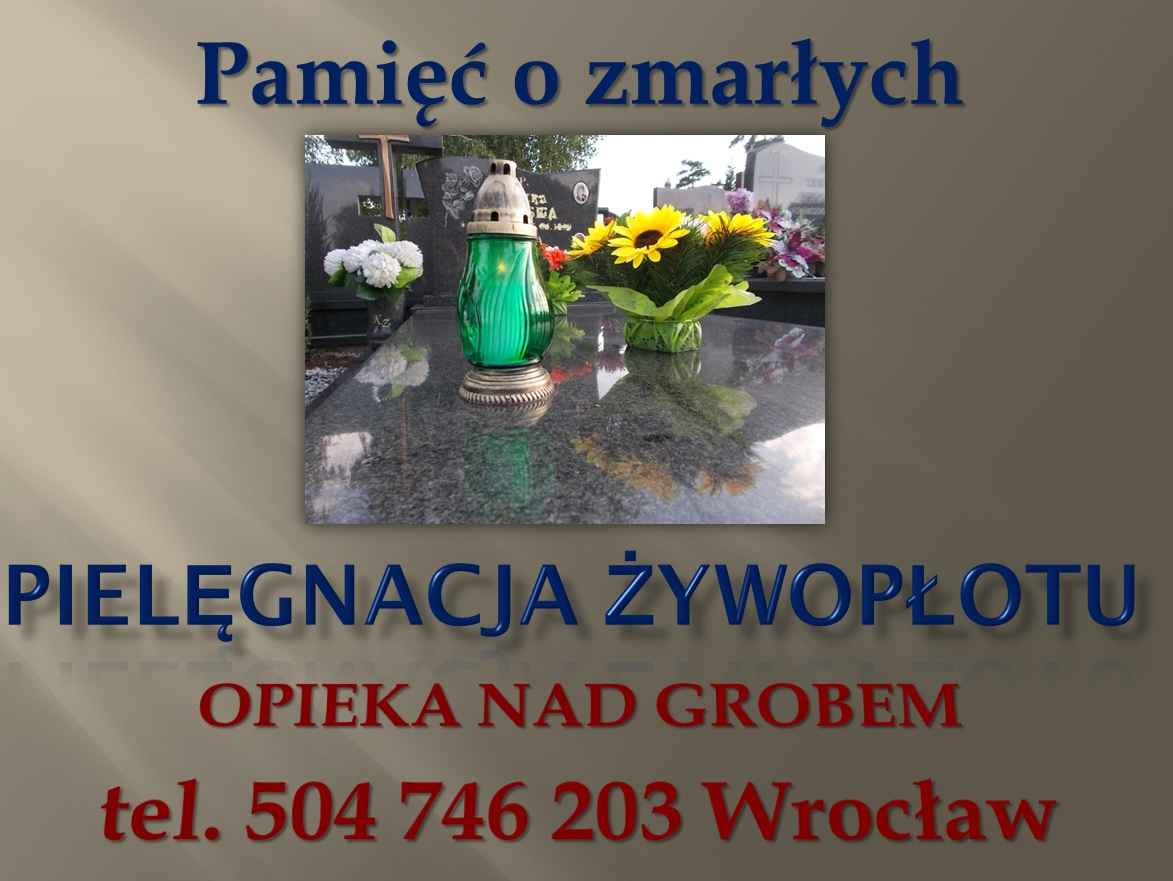 Cmentarz Osobowice, Wrocław, t 504746203, osobowicki, sprzątanie grobu Psie Pole - zdjęcie 3