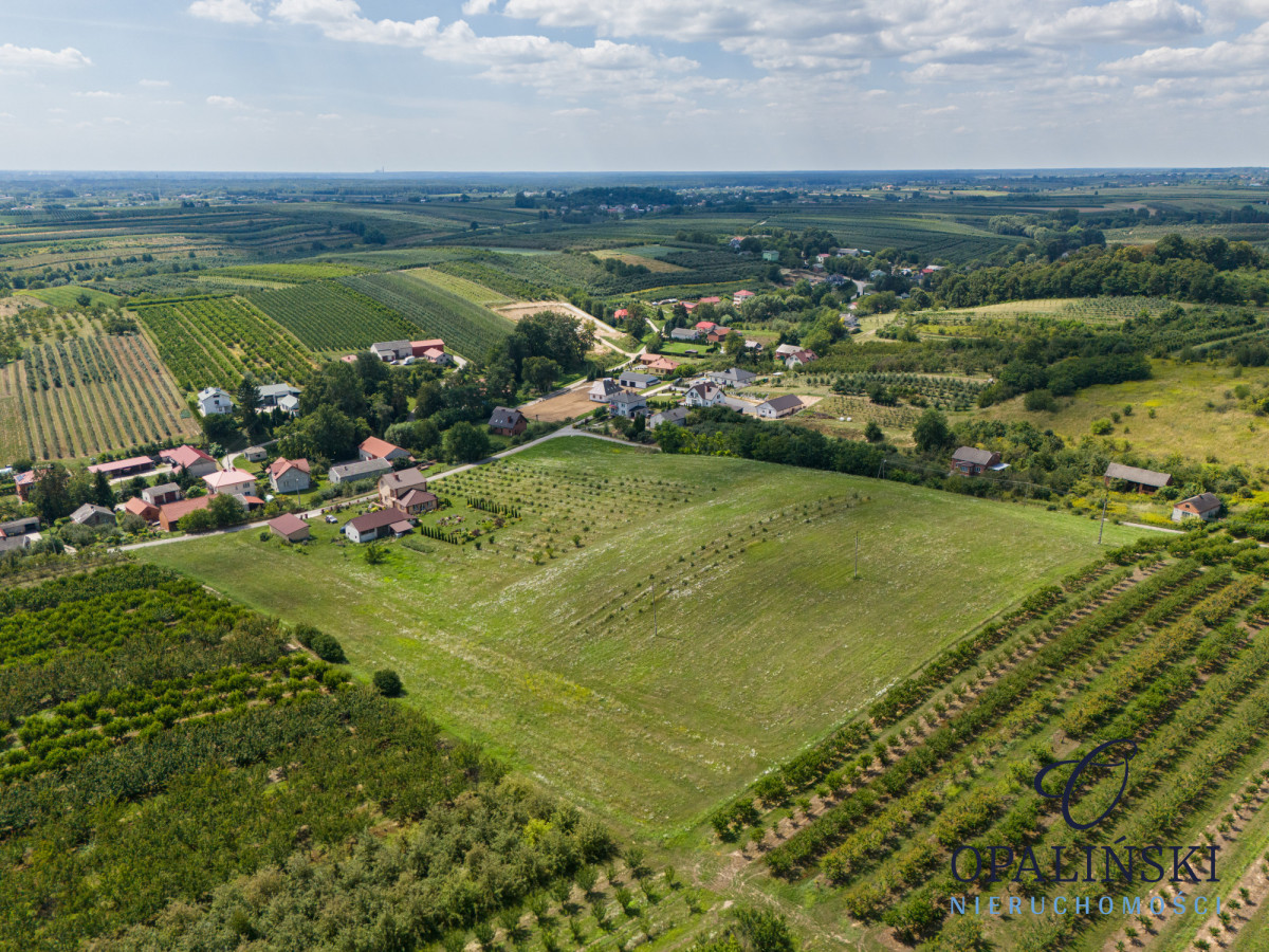 Dom wolnostojący | 3,1 ha | Urokliwe miejsce Skrzypaczowice - zdjęcie 7