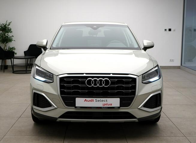 Audi Q2 30TFSI 116 KM Manual Led  Kamera Tempomat ACC Kielce - zdjęcie 6