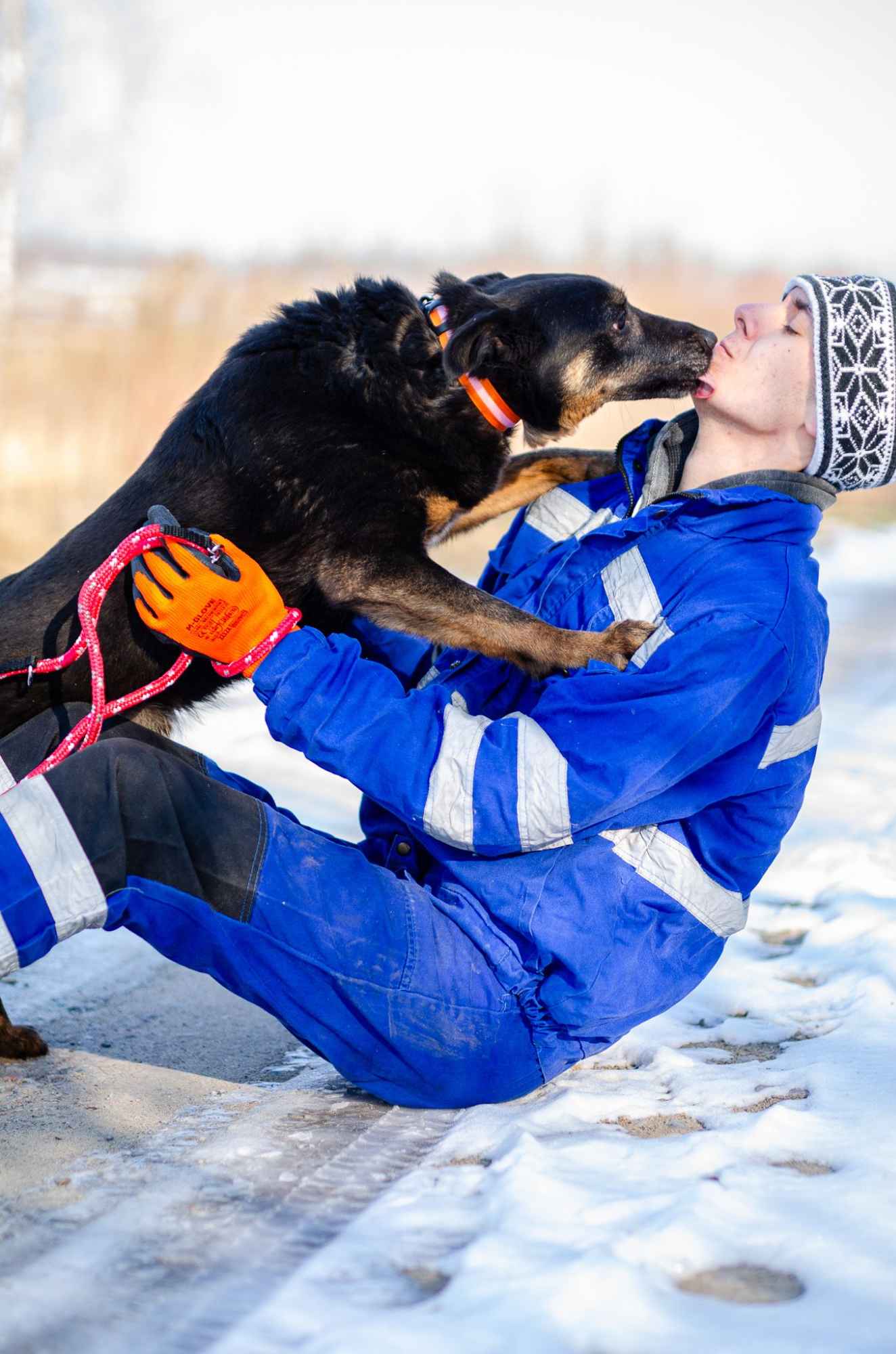 Red - cudowny, zwykły pies o niezwykłym sercu Olsztyn - zdjęcie 7