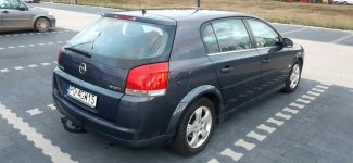 Opel Signum 1.9 CDTI 150km Poznań - zdjęcie 5