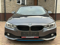BMW 420 Sadlno - zdjęcie 2