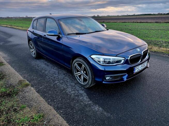 BMW F20 2.0 zadbany, Adaptive LED skrętny pdc navi Słupca - zdjęcie 2
