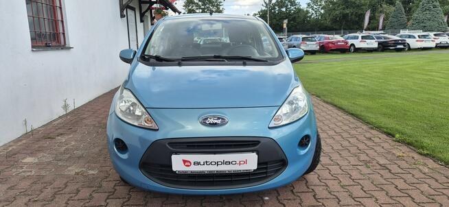 Ford KA GRZANE FOTELE Paproć - zdjęcie 2