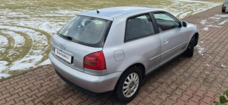 Audi A3 AUTOMAT Paproć - zdjęcie 7