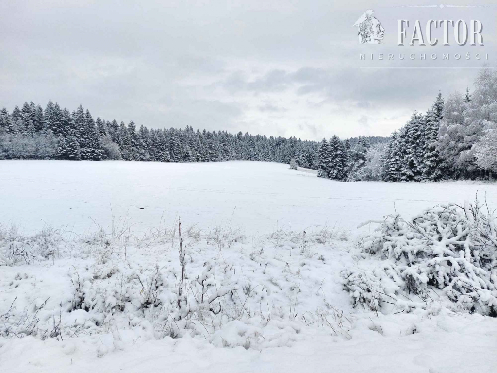 Klimkówka, działka usługowo-rekreacyjna 19,36 a, 1077S/2022 Klimkówka - zdjęcie 1