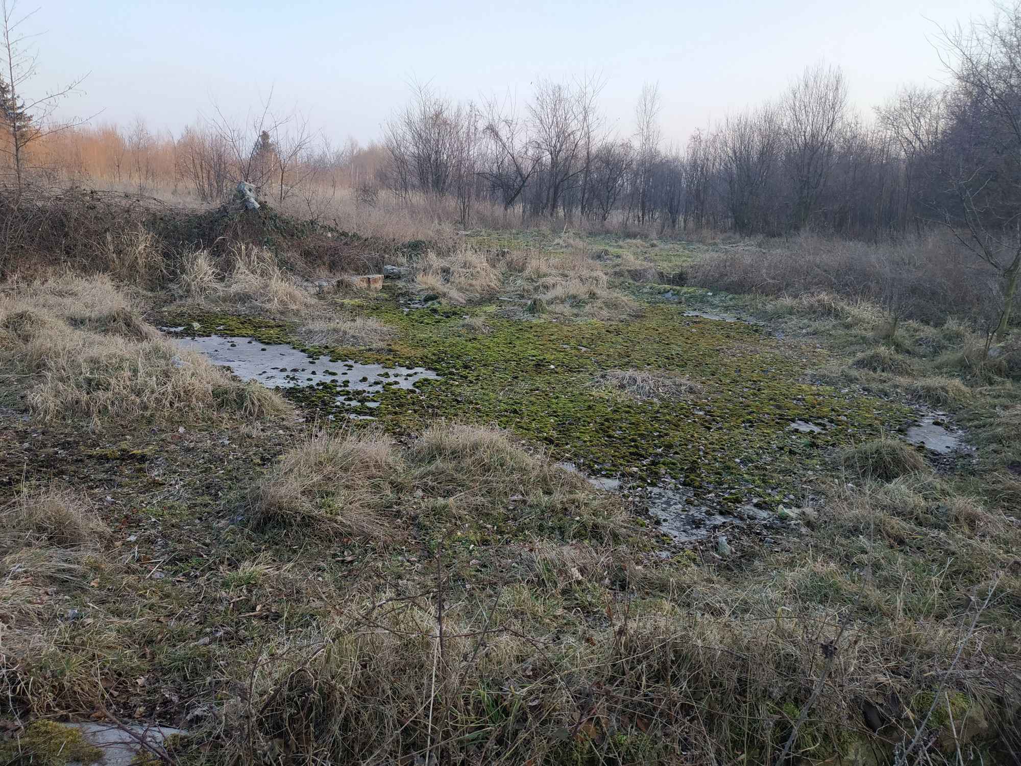 Nieruchomość na sprzedaż Kamiennik - zdjęcie 9