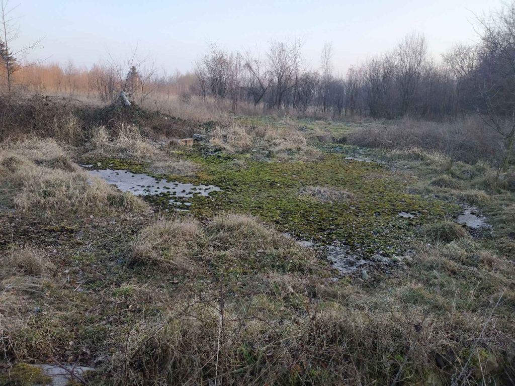 Nieruchomość na sprzedaż Kamiennik - zdjęcie 9
