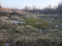 Nieruchomość na sprzedaż Kamiennik - zdjęcie 9