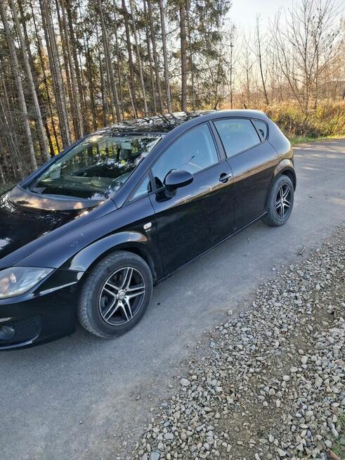 Seat Leon II 1.6 TDI ECOMOTIVE 2011 Stary Sącz - zdjęcie 3