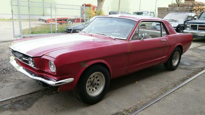 Ford Mustang V8 289cu Automat Sprowadzony C-code LUXURYCLASSIC Koszalin - zdjęcie 1