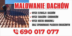 Malowanie dachów, Mycie elewacji, Mycie kostki brukowej. Giżycko - zdjęcie 9