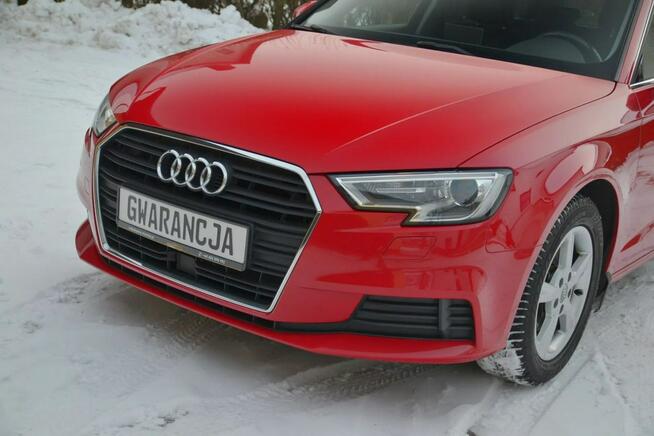 Audi A3 1.5 TSI 150 KM Super Stan 2 x Alufegi Gwarancja Łapino Kartuskie - zdjęcie 9
