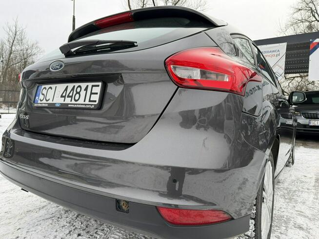 Ford Focus Klimatyzacja, PL salon, Pierwzy właściciel, 2 kpl. kół Cieszyn - zdjęcie 12