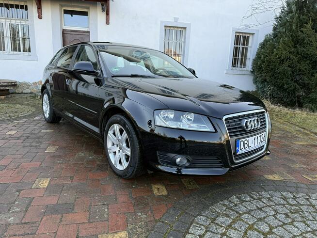 Audi A3 1.6MPI 102KM Sportback z Niemiec Zadbany Facelift Ocice - zdjęcie 2