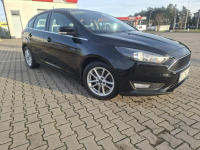 Sprzedam Ford Focus Rzeszów - zdjęcie 5