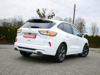 Ford Kuga 1.5 EcoBlue 120KM Eu6 St-Line -Automat 8b. - Zobacz Goczałkowice-Zdrój - zdjęcie 3