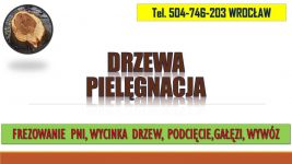 Frezowanie pni, cena, tel. 504-746-203, Wrocław, usuwanie pnia. Psie Pole - zdjęcie 1