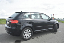 Audi A3 - niski przebieg Świecie - zdjęcie 9