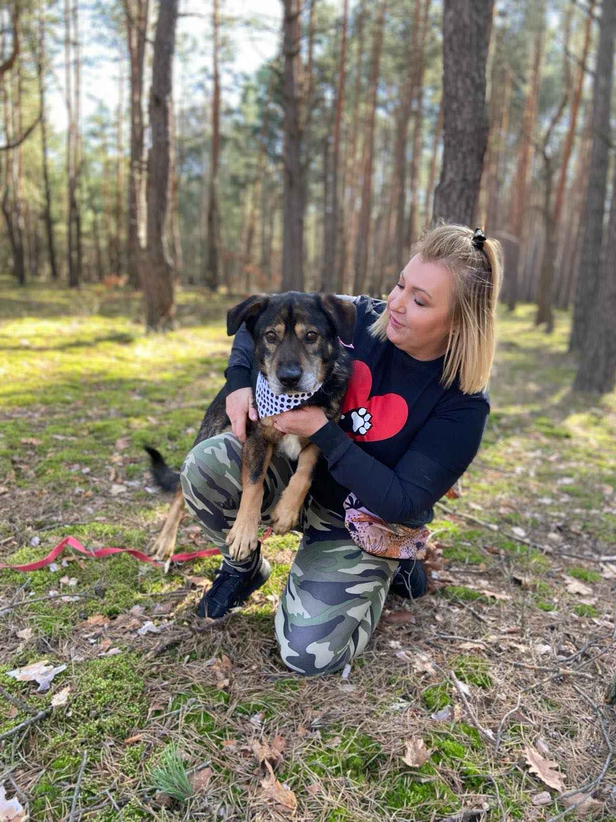 Borys - za człowiekiem skoczyły w ogień! Pokochaj! Olsztyn - zdjęcie 5