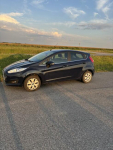 Ford Fiesta Mk 7 Róża - zdjęcie 5