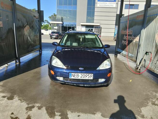 Ford Focus Giha 1.6 , 1999 r. Malbork - zdjęcie 5