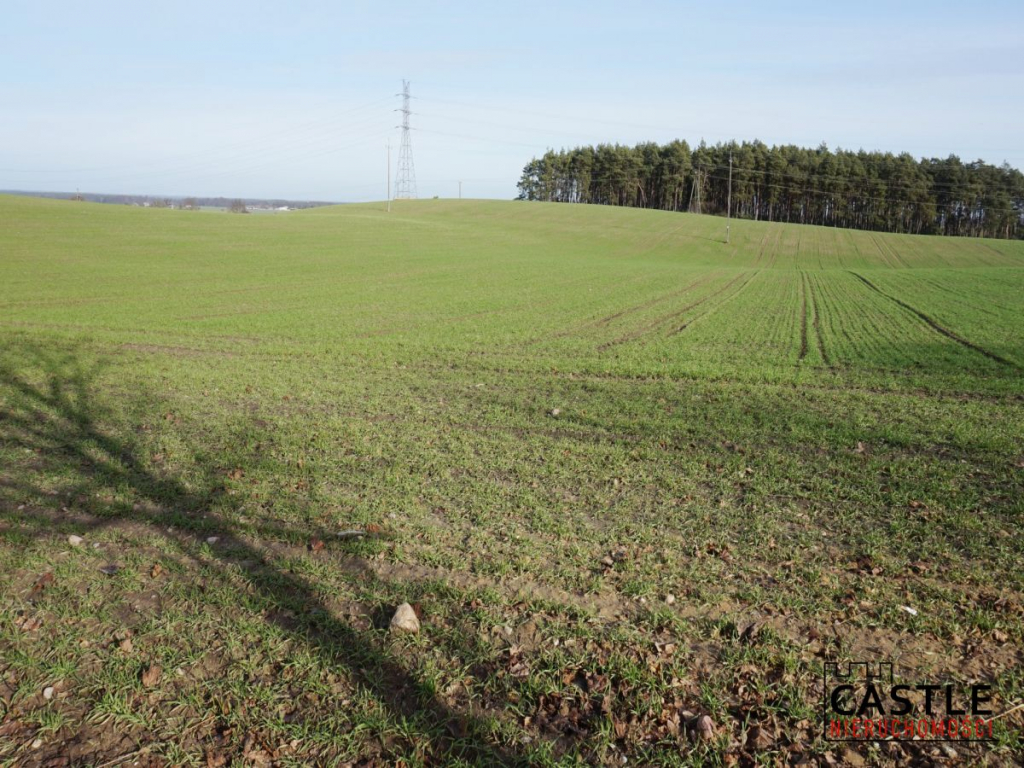 Działka z widokiem na jezioro! Sieraków - zdjęcie 2