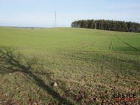 Działka z widokiem na jezioro! Sieraków - zdjęcie 2