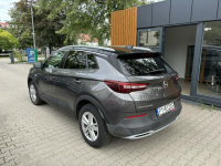 Opel Grandland X ELITE+ / BEZWYPADKOWY / NOWY ROZRZĄD Poznań - zdjęcie 3