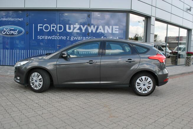 Hatchback GoldX 1,6 Benzyna 105KM ASO Forda Białystok - zdjęcie 5