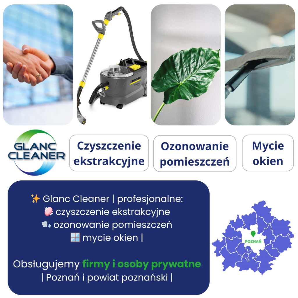 Pranie tapicerki samochodowej dla FIRM Komorniki - zdjęcie 3