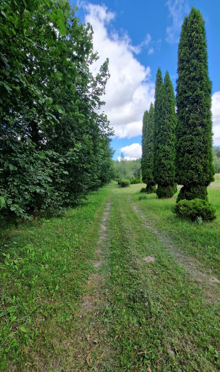 Działka budowlana Słójka Dziewiczy Ług Słójka - zdjęcie 6