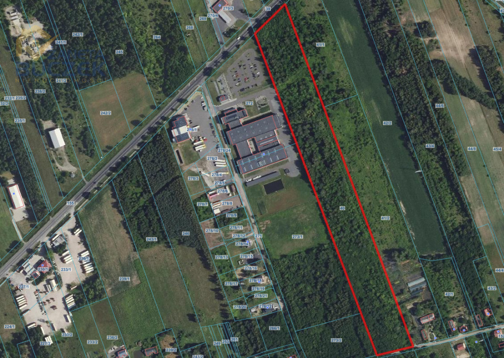 Na sprzedaż działka inwestycyjna – Kuznocin Kuznocin - zdjęcie 5