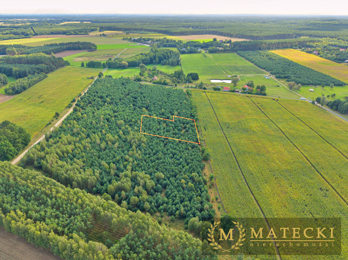 Wyjątkowa, duża działka z drzewami Karczewko - zdjęcie 12